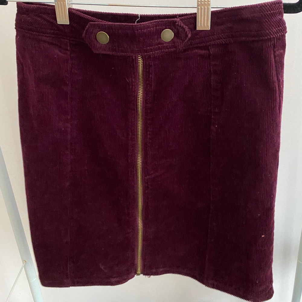 blue spice zipper skirt